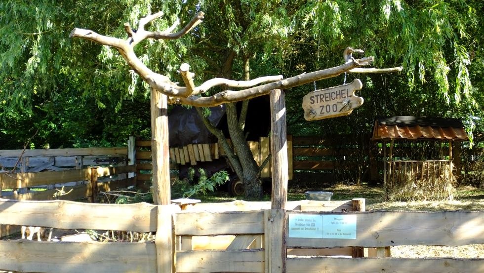 Der Streichelzoo mit Ziegen, Kaninchen und Hühnern // © B. Kiel Der Streichelzoo mit Ziegen, Kaninchen und Hühnern // © B. Kiel