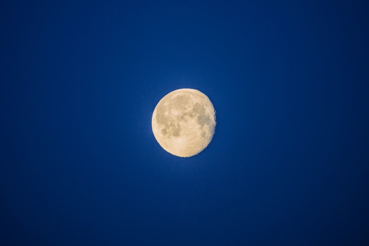 &copy; Binzer Bucht Tourismus