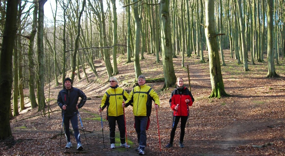 Nordic Walking auf Jasmund // © Volker Barthmann Nordic Walking auf Jasmund // © Volker Barthmann