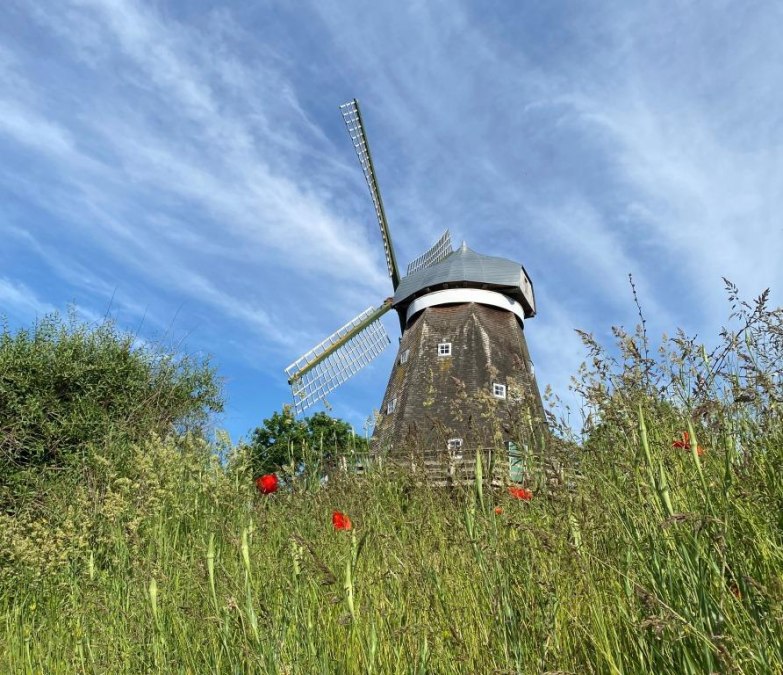 muehle_sibylle-boehler_12, &copy; Sibylle B&ouml;hler