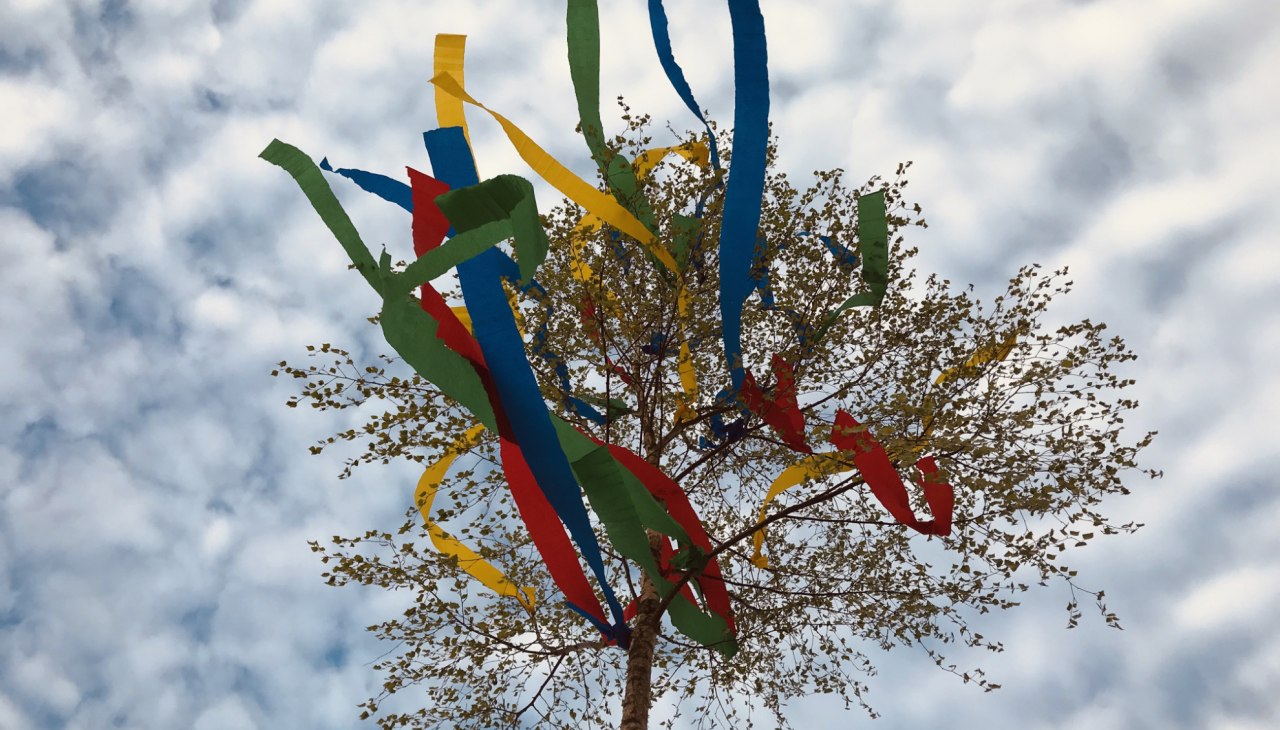 Der bunt geschm&uuml;ckte Maibaum, &copy; Kurverwaltung Sellin