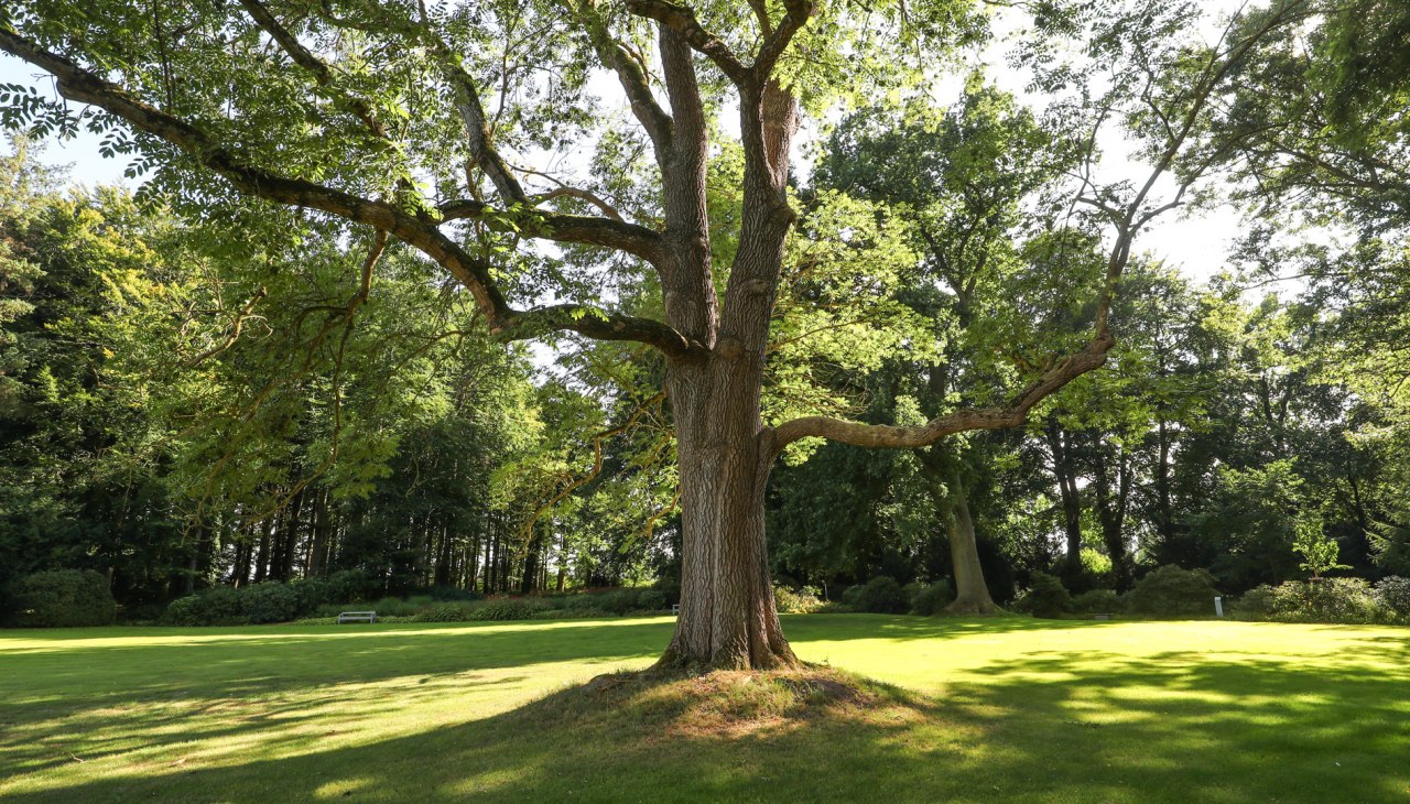 Gutspark und Gutshaus Landsdorf_1, &copy; TMV/Gohlke