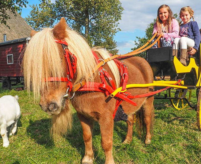 Der neue Spieleboden im Freilichtmuseum Klockenhagen // &copy; Freilichtmuseum Klockenhagen