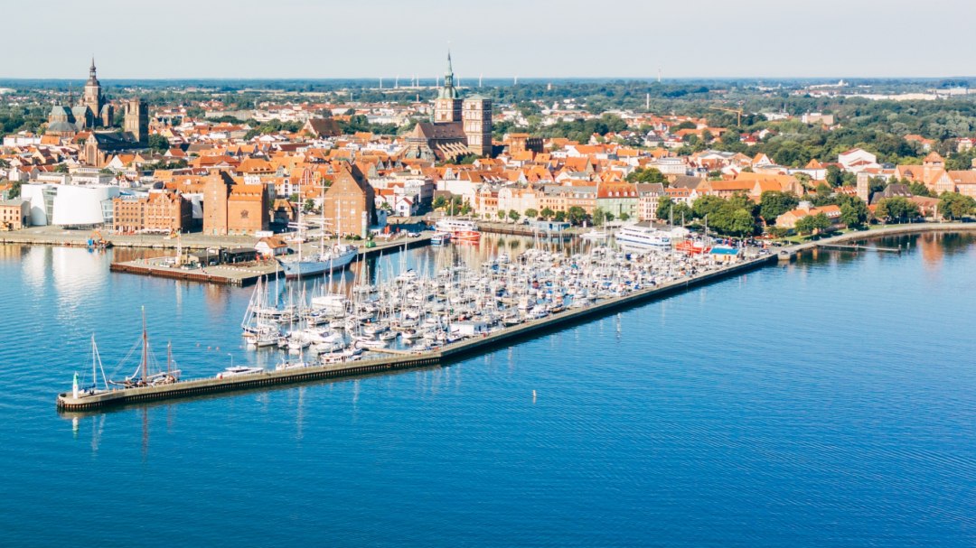 Nordmole, © TMVGänsicke