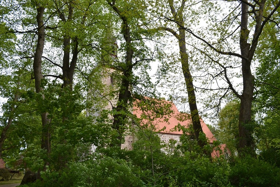 Blick durch die Parkanlage auf die Kirche. // &copy; Lutz Werner