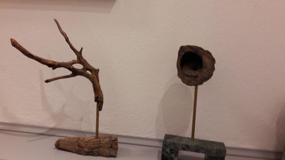 Windvaan // &copy; Ursula Banse