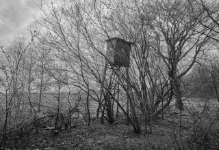 &copy; Richard Barnes 2023