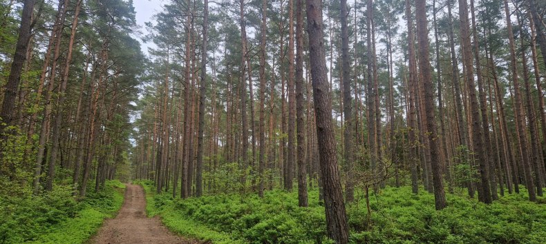 &copy; Kurverwaltung Goehren