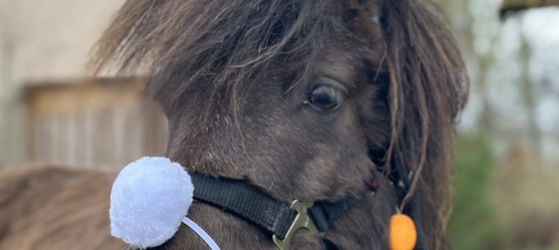 Ostern bei den Bernsteinreitern, &copy; De