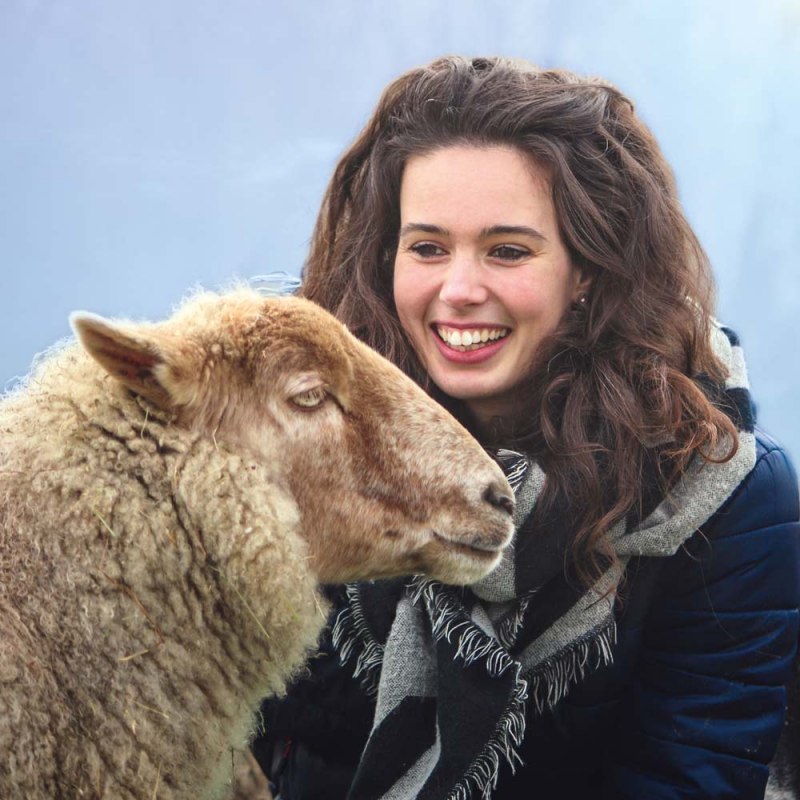 De Tafel.Runde in het land van de dieren is een bijzonder soort evenement dat de hele dag duurt: een exclusieve veganistische kookcursus en een intensieve onderdompeling in het land van de dieren. // © Land der Tiere De Tafel.Runde in het land van de dieren is een bijzonder soort evenement dat de hele dag duurt: een exclusieve veganistische kookcursus en een intensieve onderdompeling in het land van de dieren. // © Land der Tiere