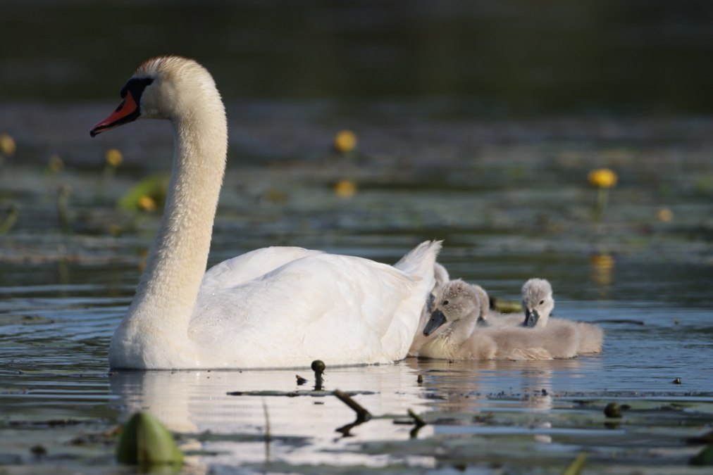 Eindrücke aus der Tagestour, © Corina Posselt