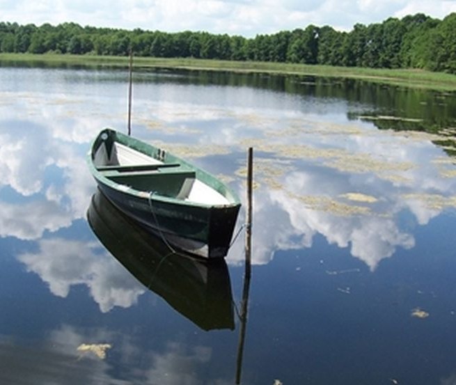 © Ferienhaus Naturnah/ Noll