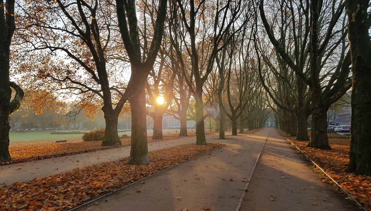 Gr&uuml;nanlage &bdquo;Jasne Błonia im. Jana Pawła II&rdquo;, &copy; Pomorze Zachodnie