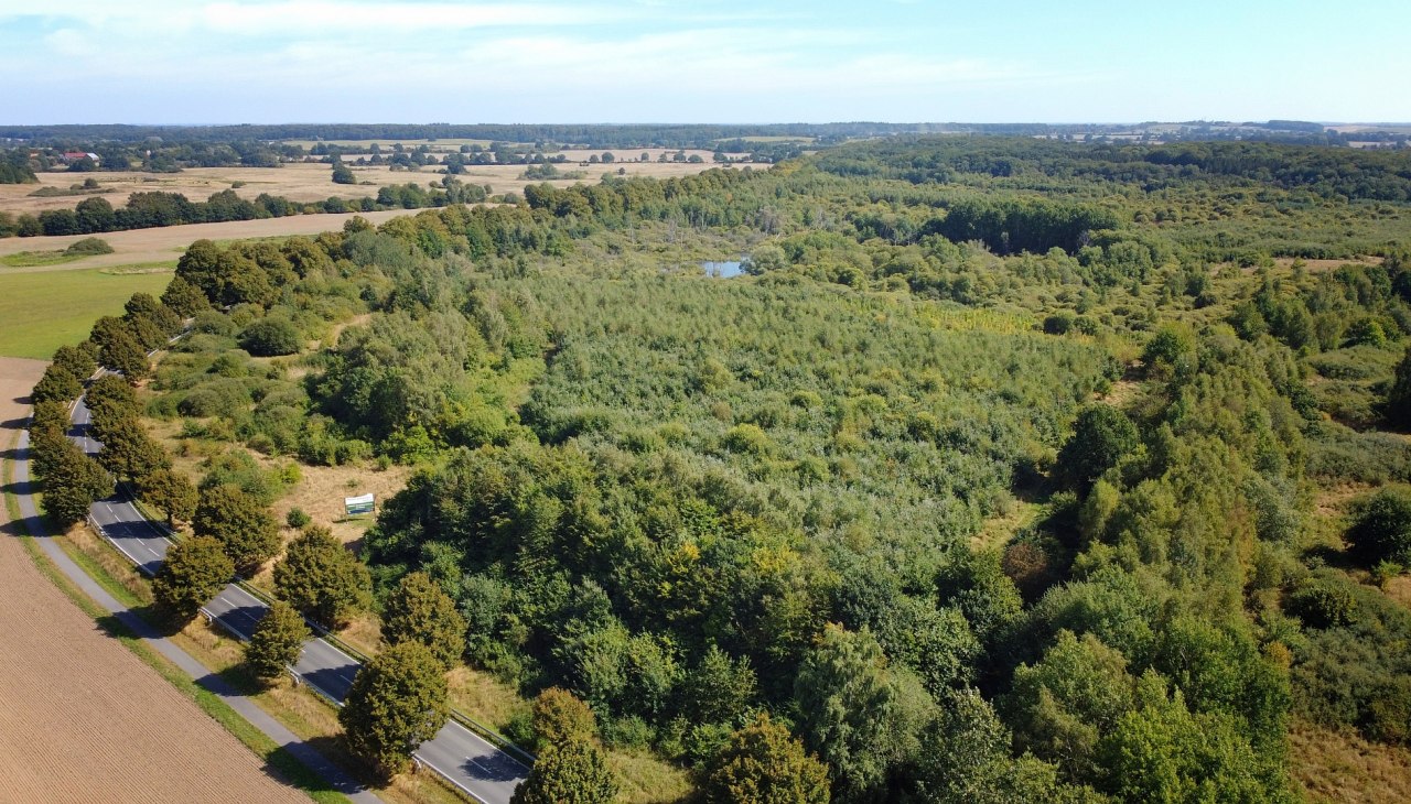 Klimaatbos Biosfeerreservaat Schaalsee, &copy; Landesforst MV