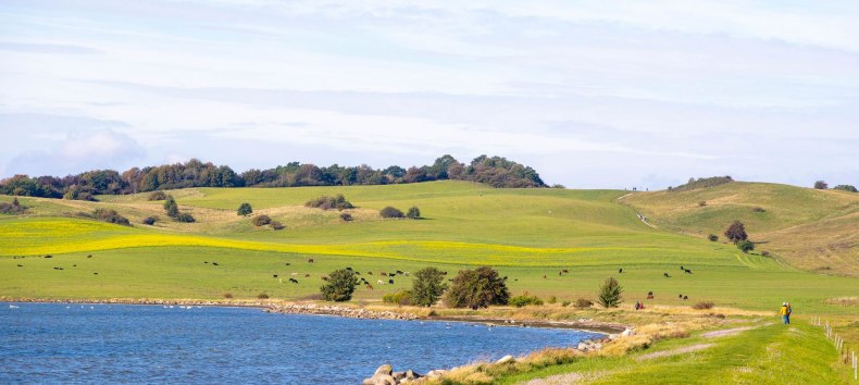 © Kurverwaltung Goehren / Martin Stoever © Kurverwaltung Goehren / Martin Stoever