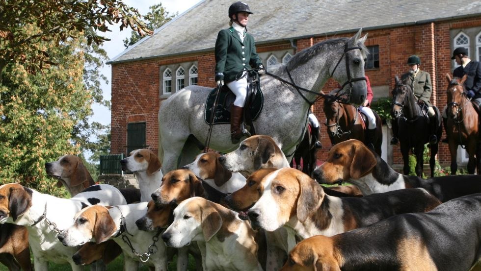 Mecklenburger Meute - Tauchen Sie ein in das Erlebnis Jagdreiten und den Einklang von Reiter, Pferd und Hund // © FerienGut Dalwitz Mecklenburger Meute - Tauchen Sie ein in das Erlebnis Jagdreiten und den Einklang von Reiter, Pferd und Hund // © FerienGut Dalwitz