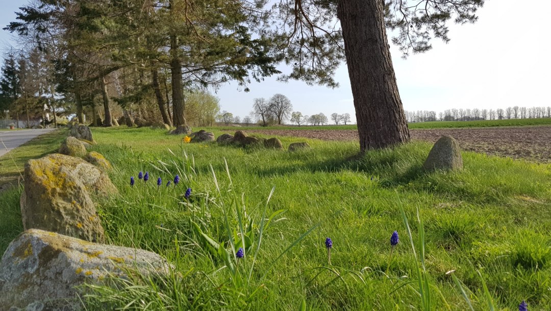 Hünenbett Stralendorf, © Tourismusverband Mecklenburg-Schwerin Hünenbett Stralendorf, © Tourismusverband Mecklenburg-Schwerin