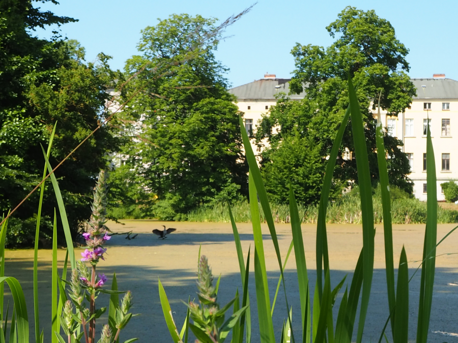 Im Schlosspark Semlow, &copy; Tourismusverein VR/Manuela Steimle