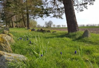 &copy; Tourismusverband Mecklenburg-Schwerin