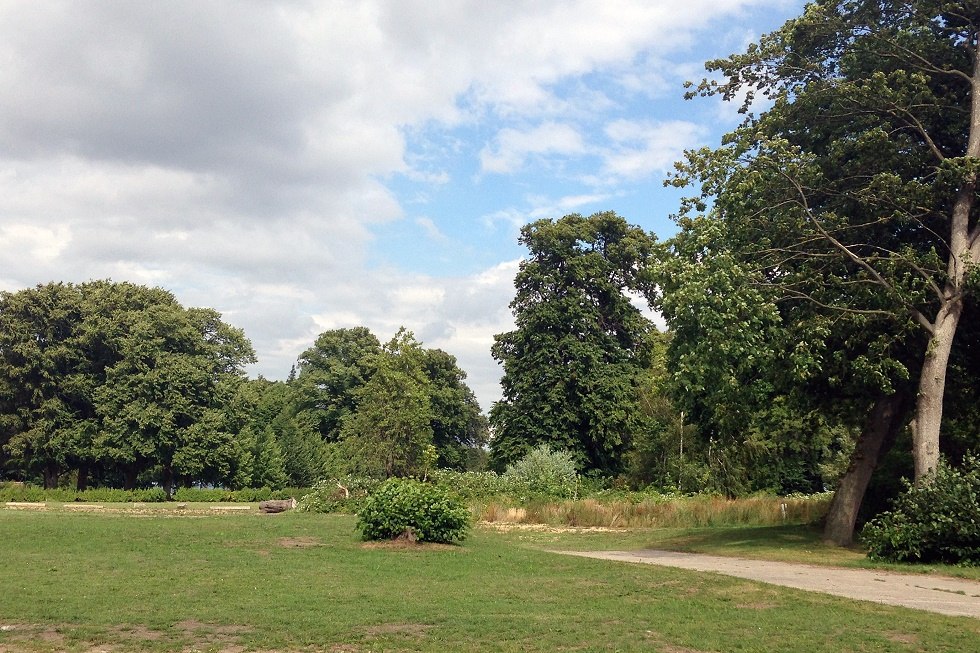 Blick in den Park // &copy; Sabrina Wittkopf-Schade