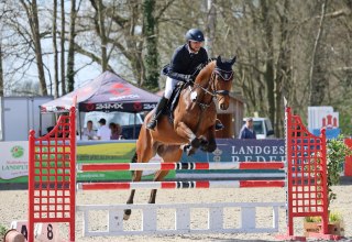 &copy; Chrissis Pferdebilder