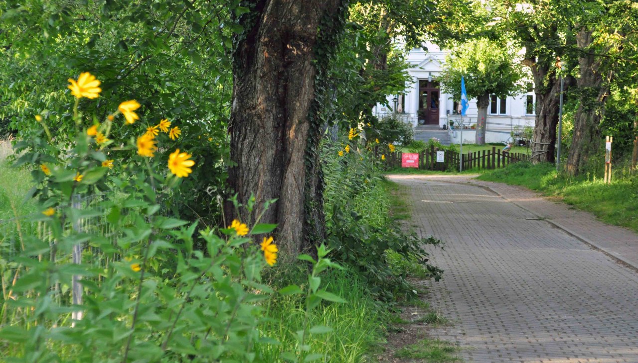Ein lauschiges Plätzchen... Wer mit dem Fahrrad von Barth nach Stralsund oder umgekehrt unterwegs ist, kommt gar nicht an uns vorbei., © Christa Dregger Ein lauschiges Plätzchen... Wer mit dem Fahrrad von Barth nach Stralsund oder umgekehrt unterwegs ist, kommt gar nicht an uns vorbei., © Christa Dregger