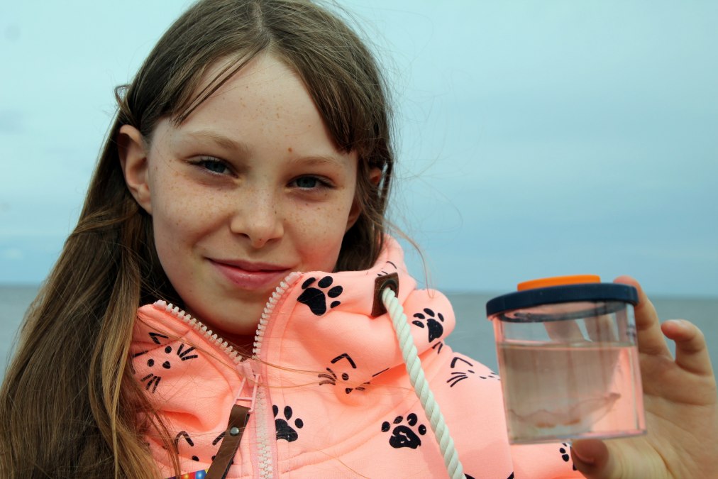 TIPP FÜR FAMILIEN: Familienfreundliche Strandführung, © Picasa