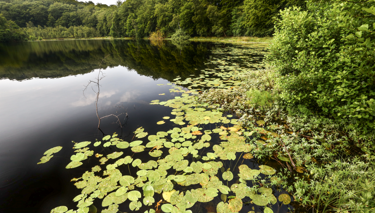 schwarzer-see-in-der-granitz_4, &copy; TMV/Gohlke