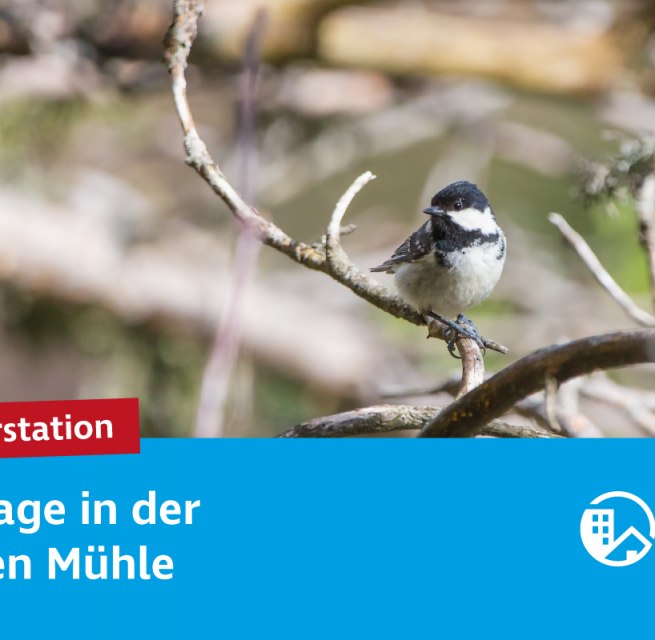 © Neuwoges © Neuwoges