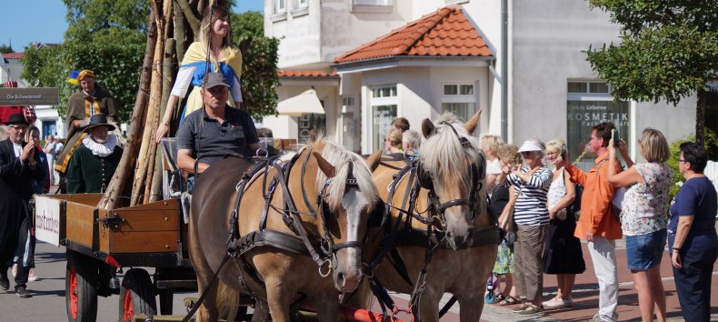 © Festumzug © Festumzug