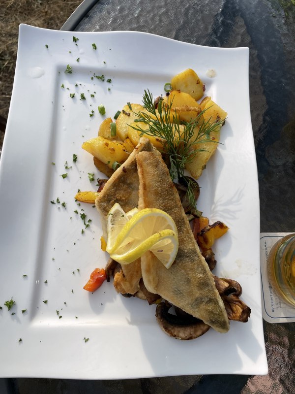 &copy; S&uuml;dliche Boddenk&uuml;ste