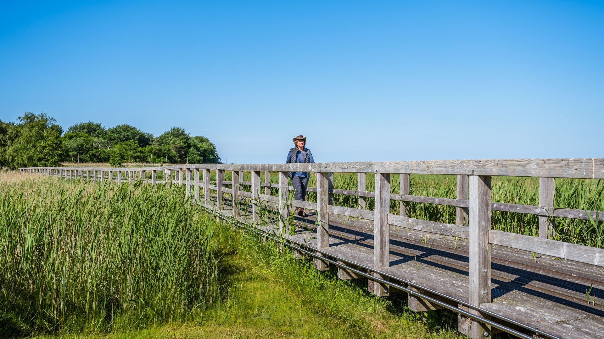 Landgang auf die Insel Kirr bei Zingst über einen Holzbohlenweg // Landgang auf die Insel Kirr bei Zingst // © MV-T/Tiemann Landgang auf die Insel Kirr bei Zingst über einen Holzbohlenweg