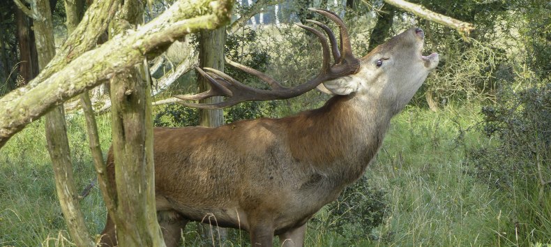 &copy; Volker Spicher