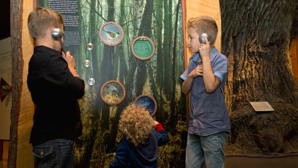 Den Geheimnissen der heimischen Wälder auf den Grund gehen., © Mirko Runge Den Geheimnissen der heimischen Wälder auf den Grund gehen., © Mirko Runge