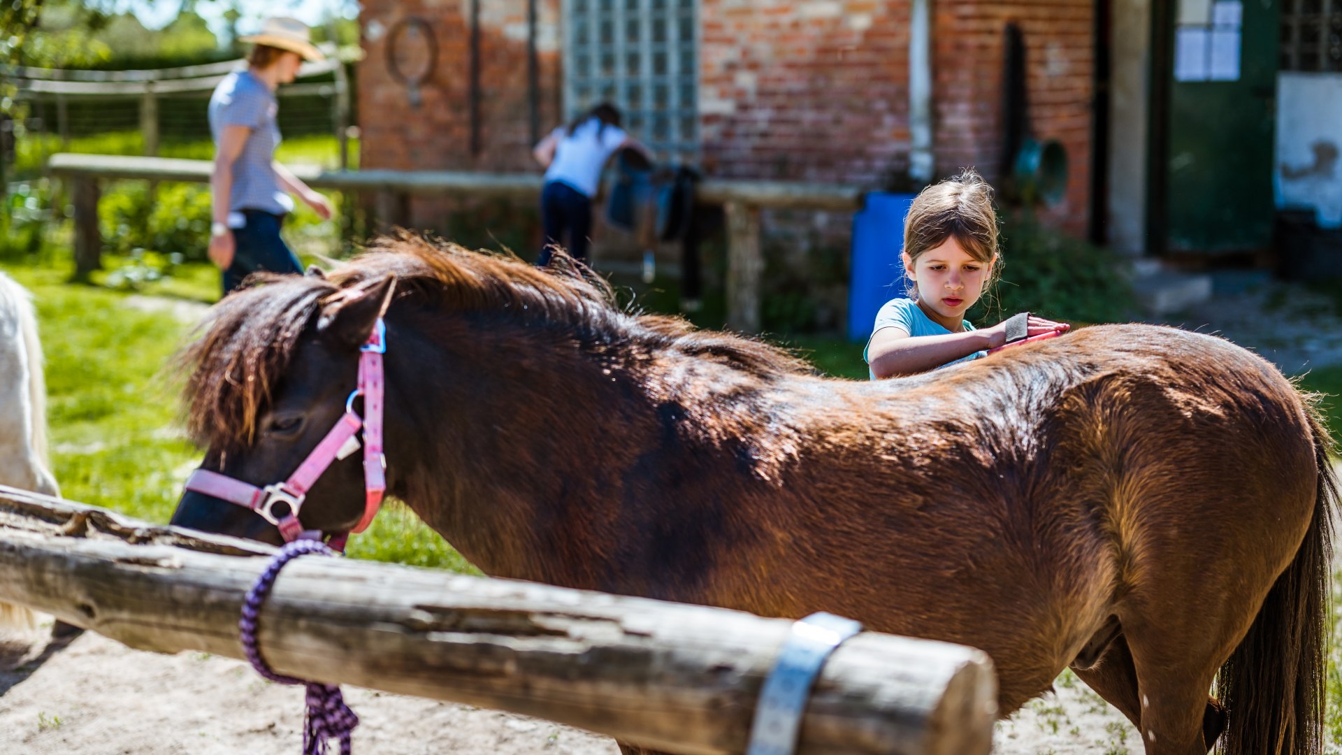 Striegeln ist auch eine Form von Liebhaben: Gästekind Mona mit Pferd Anton., © TMV/Tiemann Ein Gästekind auf dem Waldhof Bruchmühle striegelt ein Pferd