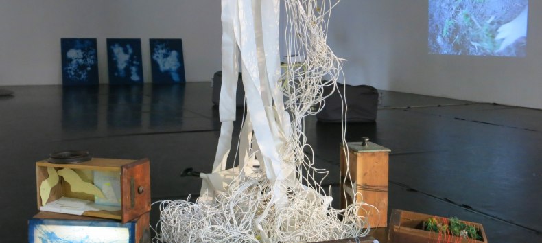 Installationsansicht Wachsen , Wuchern, W&uuml;hlen, Wundern 2025 Mixed Media // &copy; Friederike Preuschen