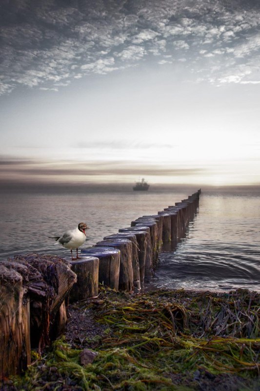 Ostsee am Morgen, Boltenhagen, &copy; Margrit Hintsche