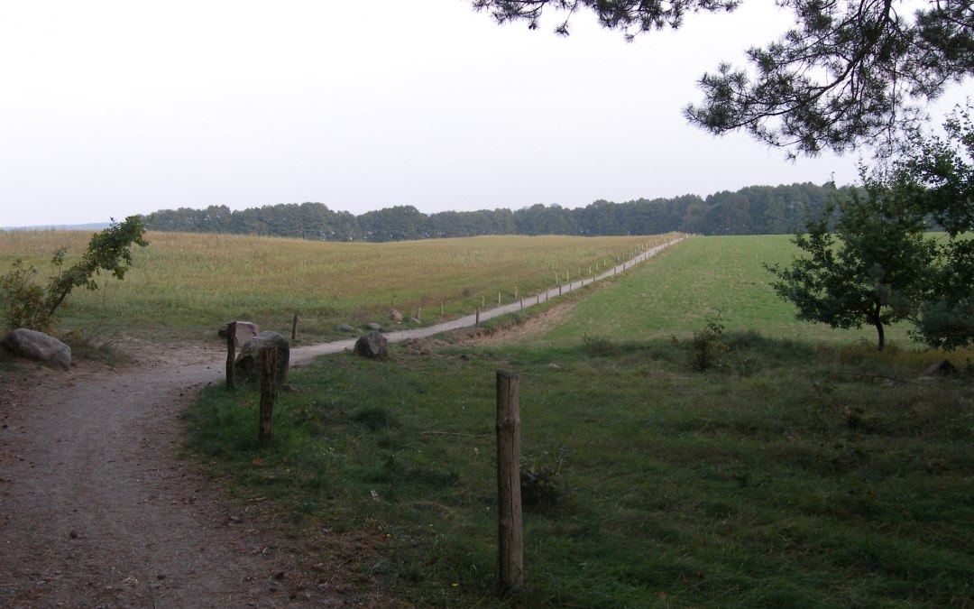 Radweg am Ufer des Woblitzsees, © Outdooractive Redaktion