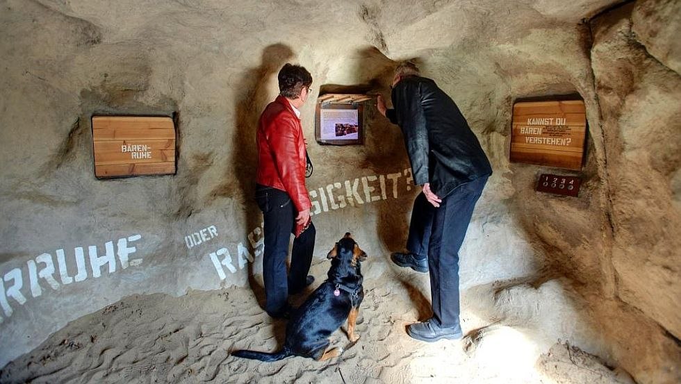 In der Ausstellungsstation "Bärenhöhle" wird die Winterruhe der Bären näher betrachtet // © BÄRENWALD Müritz/Sabine Vielmo In der Ausstellungsstation "Bärenhöhle" wird die Winterruhe der Bären näher betrachtet // © BÄRENWALD Müritz/Sabine Vielmo