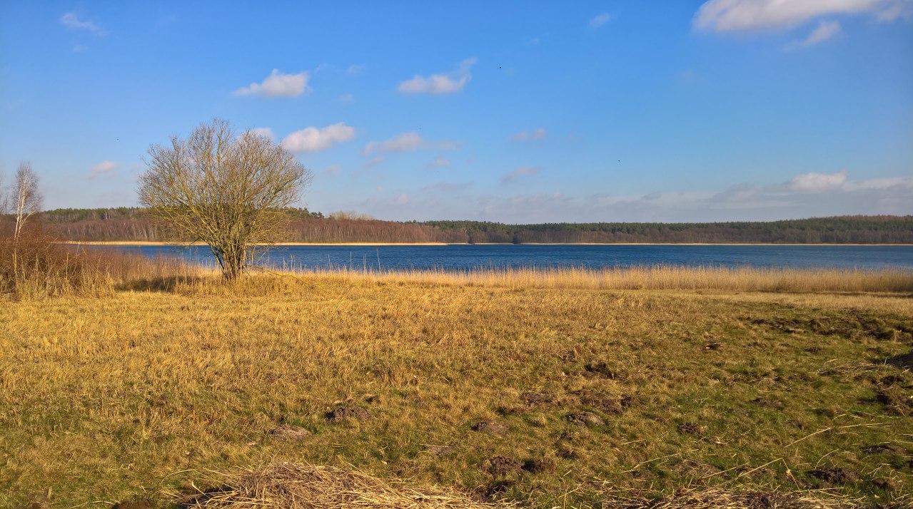 Uitzicht op het meer van Drewitz // &copy; Evelin Kartheuser