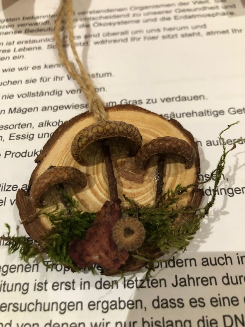 Pilzlehrg&auml;nge, &copy; Heike Brechler