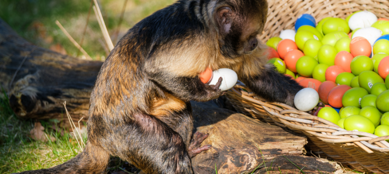 © Zoo Schwerin © Zoo Schwerin