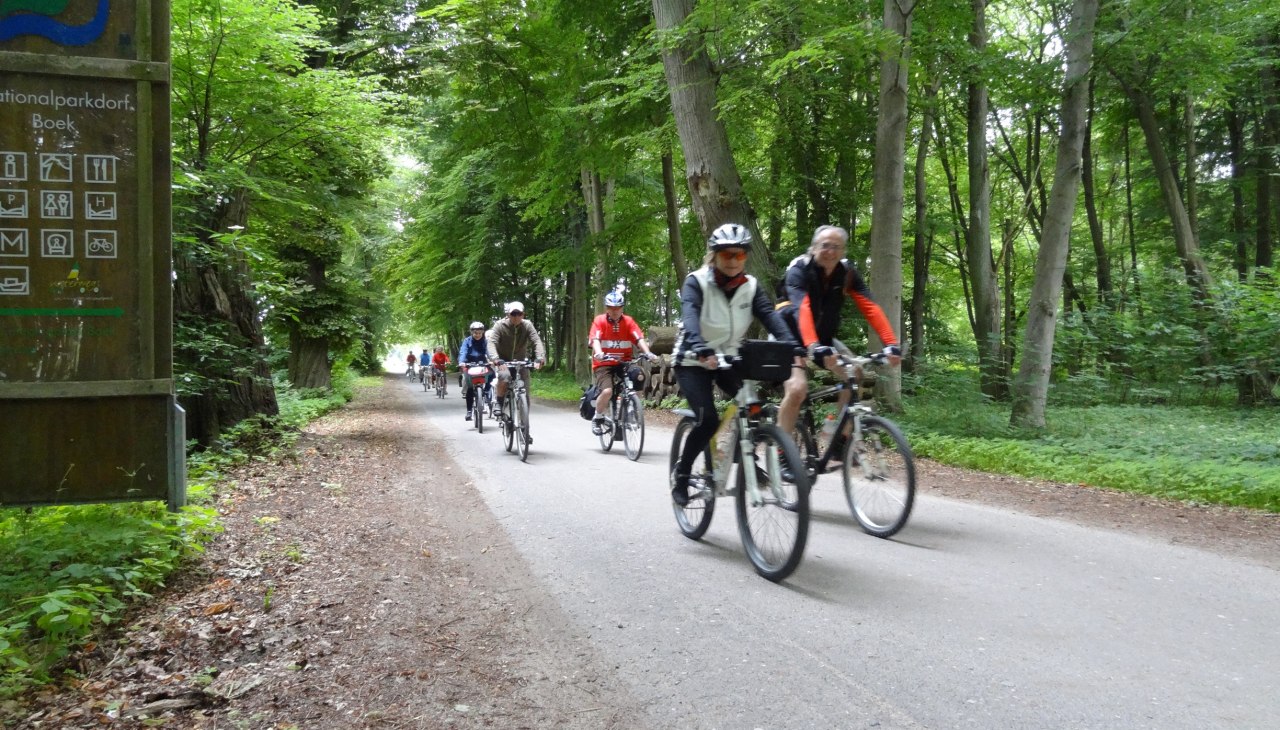 Naturtour, © Mecklenburgische Kleinseenplatte Touristik GmbH Naturtour, © Mecklenburgische Kleinseenplatte Touristik GmbH