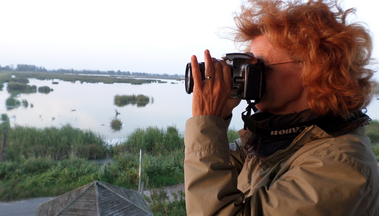 Birdwatching, © AFL Birdwatching, © AFL