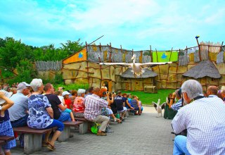 Pelikane in der Tiershow // © Vogelpark Pelikane in der Tiershow // © Vogelpark