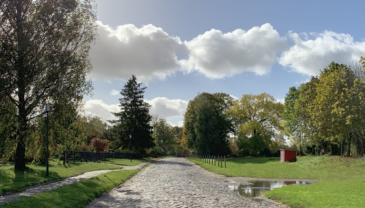 Weg zum Gutshaus Schlatkow, &copy; WERK Gut WOHNEN Schlatkow