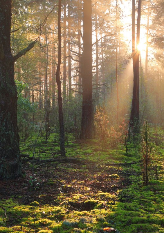 Zeit zum Durchatmen // &copy; Christina Blohm