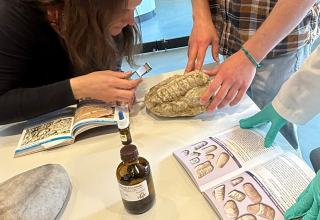 Was ist das f&uuml;r ein Gestein?, &copy; Claudia Siatkowski/M&uuml;ritzeum