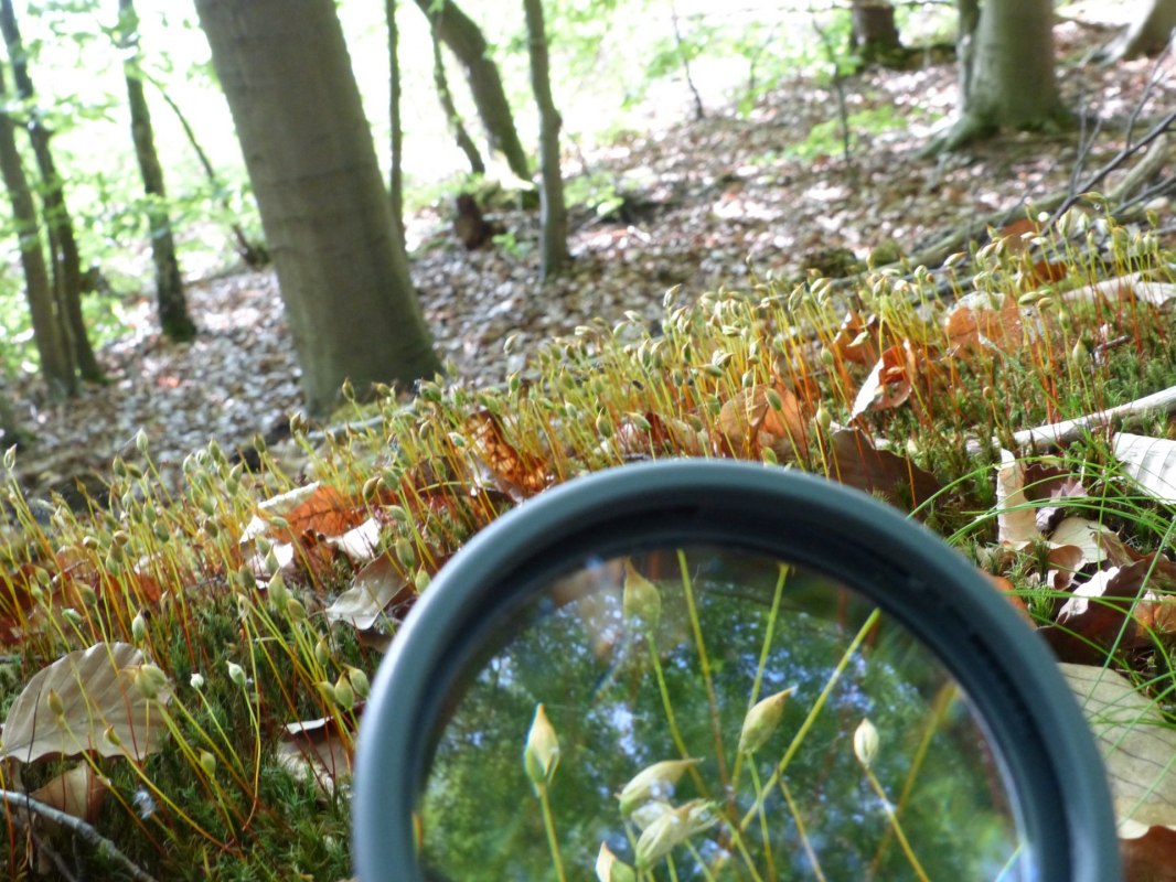 © Bianca Schubert © Bianca Schubert