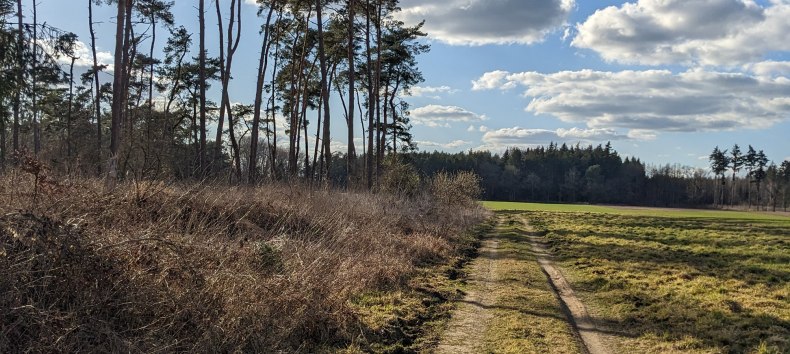 Gedeelte van de route bij de Peene-weiden // © Vincent-Gregor Schulze Gedeelte van de route bij de Peene-weiden // © Vincent-Gregor Schulze